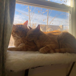 Sweetgo Cat Window Perch