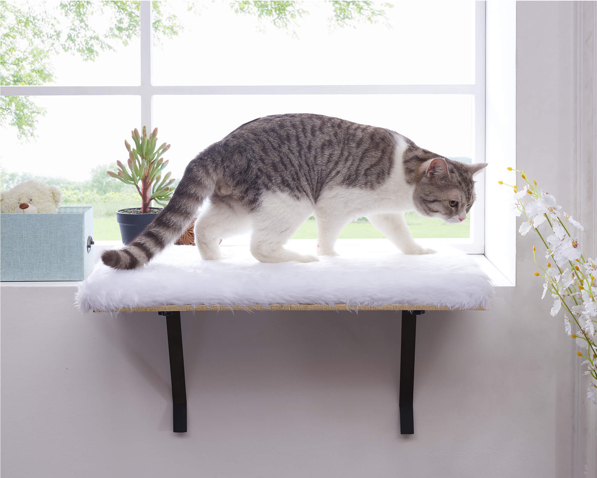 Cat Window Perch